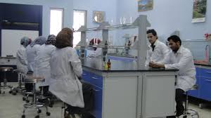 صورة 2
